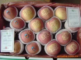 灵峰牌有机红富士苹果【精品】 苹果 山东灵山集团公司供应