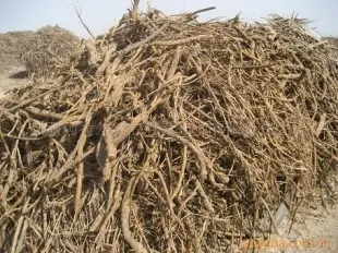 甘草 甘草 新疆 植物原药材 新疆厂家供应