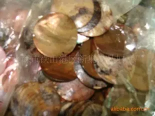 贝壳饰品、日本马氏贝壳配件、雕刻 珍珠母贝工艺品 北海市铁山港区新集饰品加工厂供应