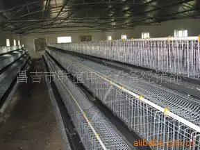 养殖设备 孵化设备 孵蛋机 昌吉市联谊电子设备经销部供应
