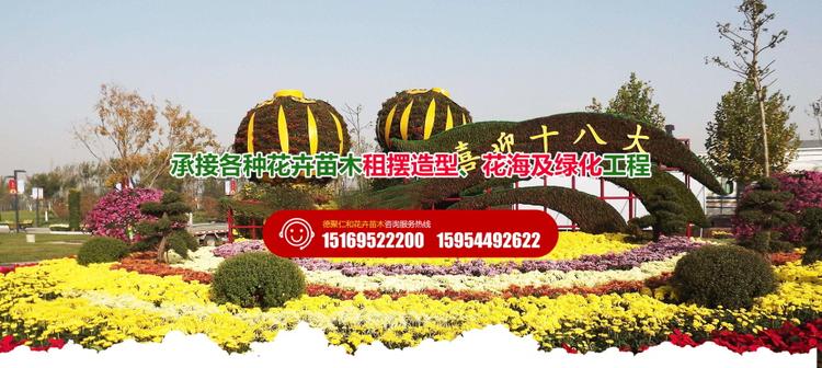花卉种苗批发基地地址