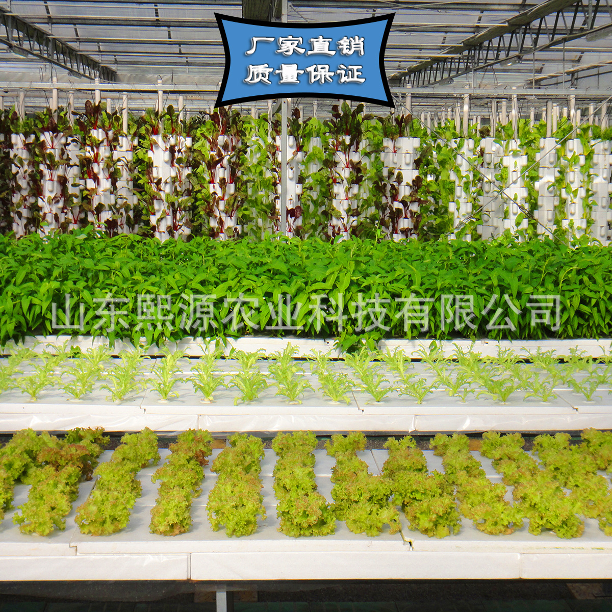 荷兰模式基质袋培 椰糠种植无土栽培 营养土种植 高产种植设施