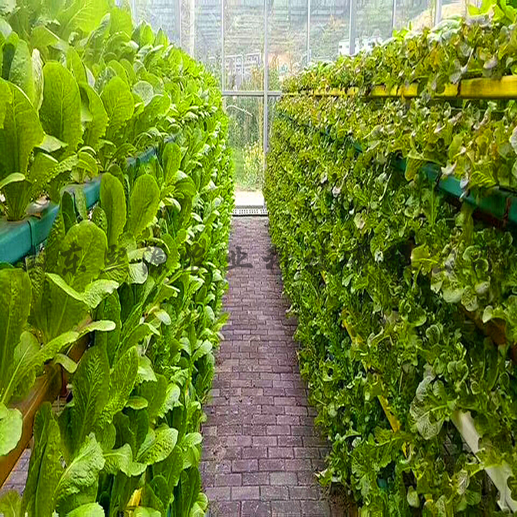 立足科技 向生态要效益