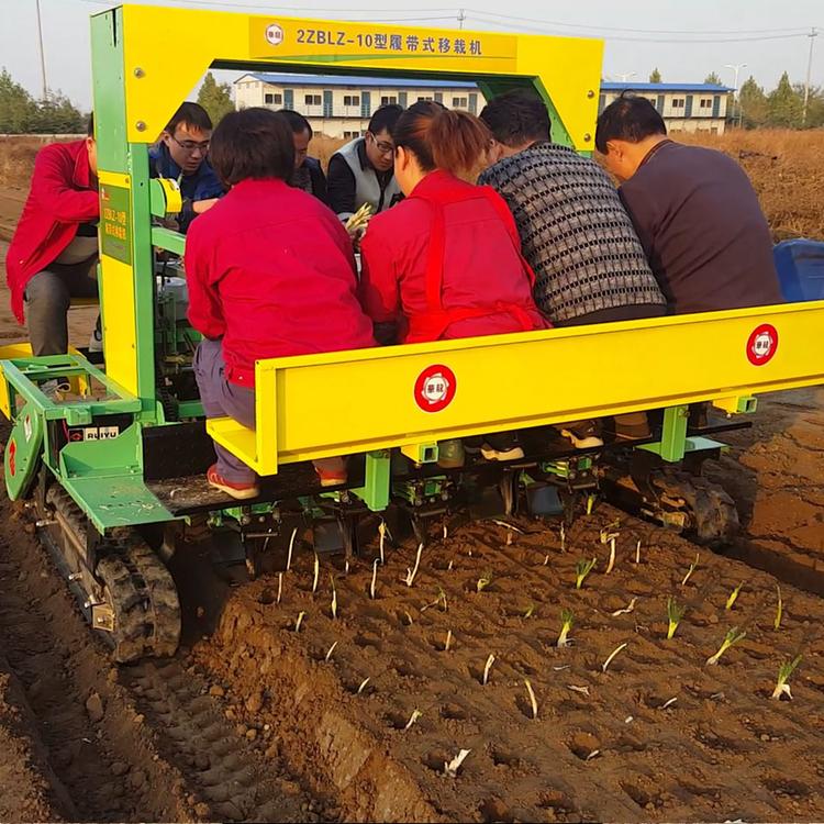 【洋葱移栽机 华龙移栽机 洋葱移栽机厂家直销】