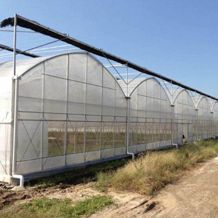 进口水溶肥的实际使用效果：从盐指数、螯合工艺到设施蔬菜的投入产出分析