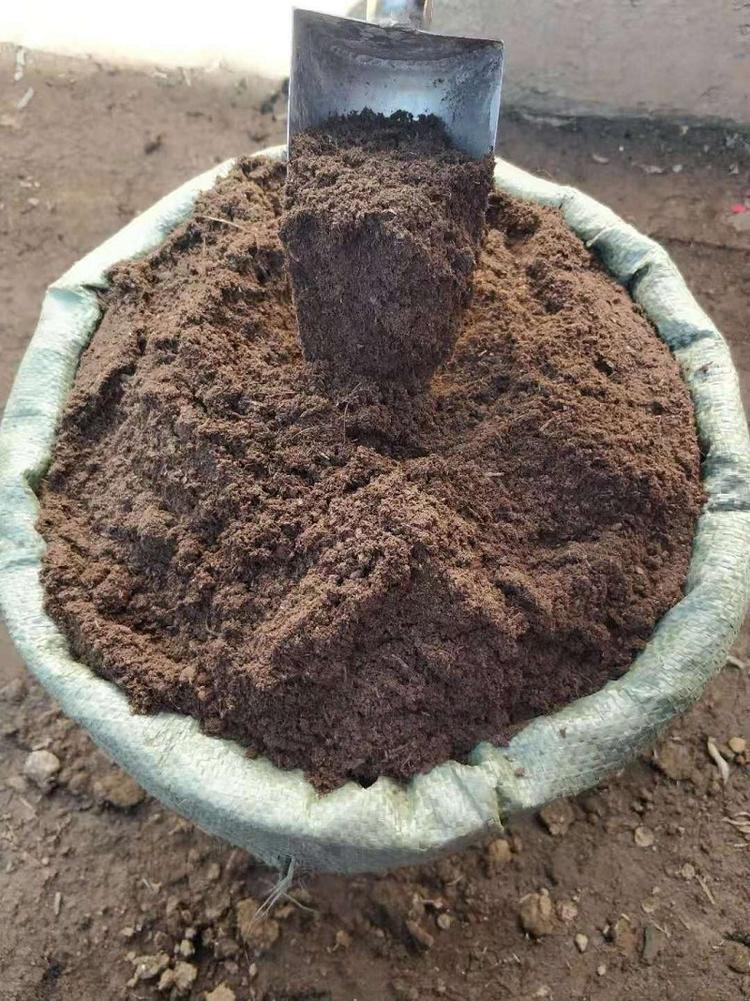 草炭土在园艺中的秘密武器