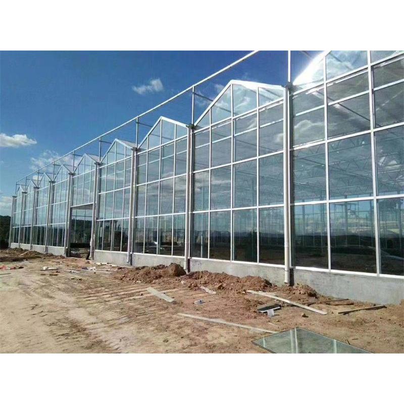 温室大棚建设：现代农业的新引擎